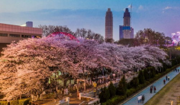 吃瓜爆料抖音网红mc,吃瓜爆料背后的故事与真相